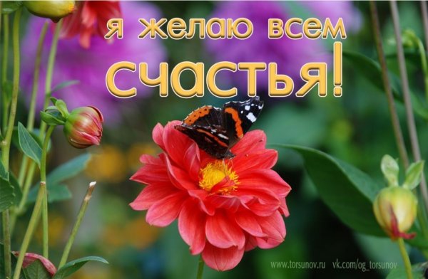 Я желаю всем счастья