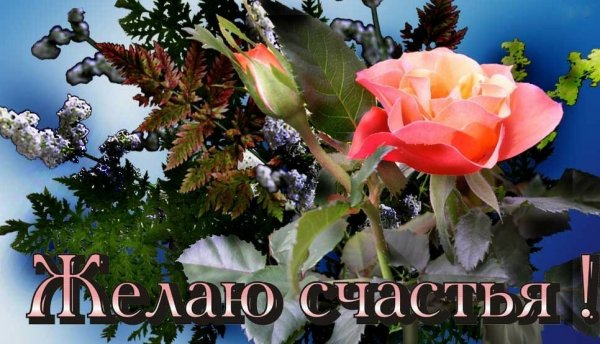 Открытки с пожеланиями добра