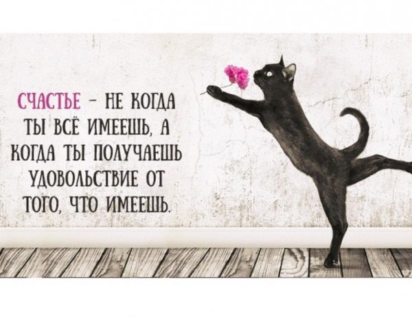 Цитаты иллюстрации про счастье