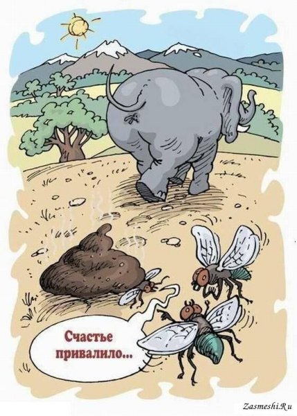 Счастье привалило!