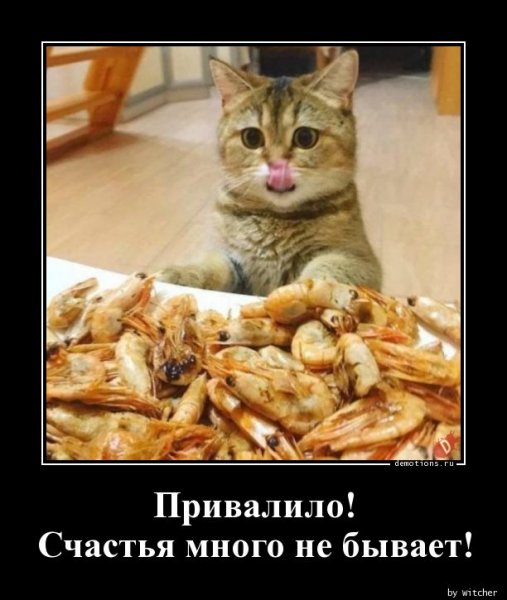 Счастье привалило!