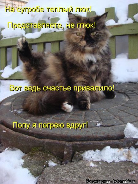 Щастье привалило