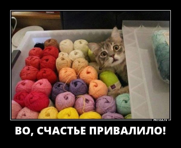 Счастье счастье привалило