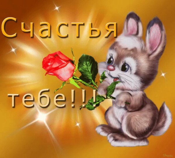 Счастья тебе