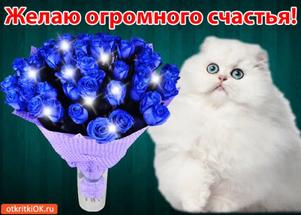 Желаю огромного счастья