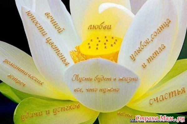 Пожелания счастья в день рождения