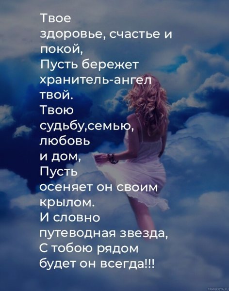 Голубь с розой