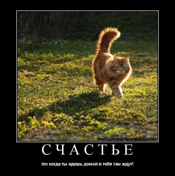 Счастье когда идешь домой а тебя там ждут