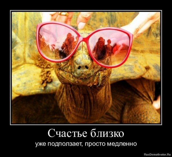 Счастье прикол