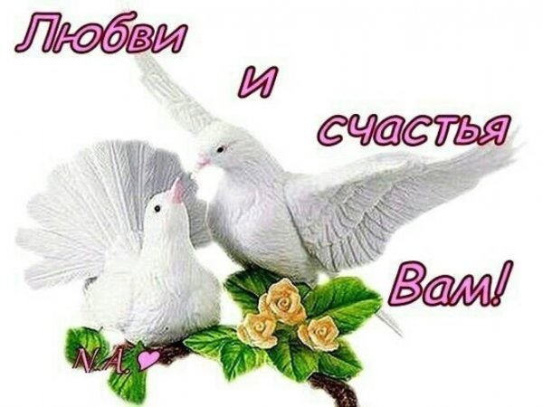 Голуби с пожеланиями