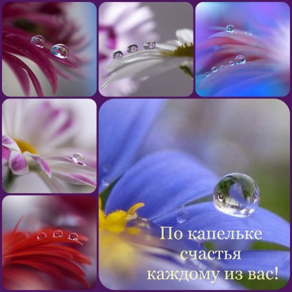 Капельку счастья