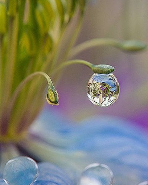 Капля воды