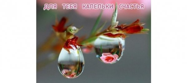 Капелька тепла для тебя