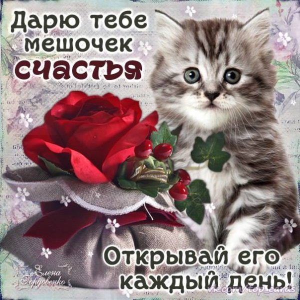 Дарю тебе счастье