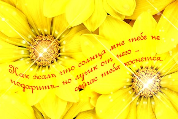 Улыбок солнца и тепла