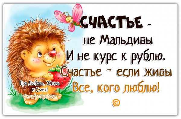 Прикольные статусы про жизнь