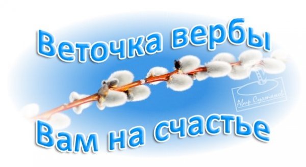 Веточка вербы на счастье открытки