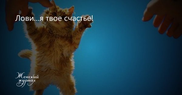 Я твое счастье