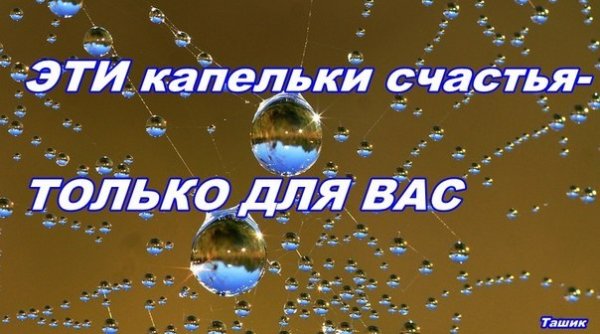 Капелька счастья