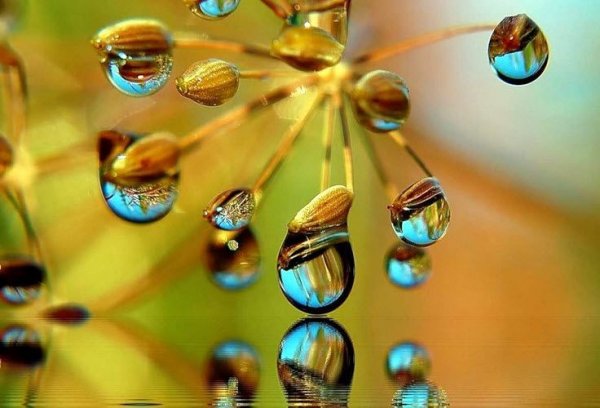 Красивое отражение в капле воды
