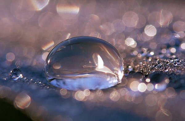 Капля воды на ладони