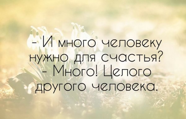 Интересные высказывания