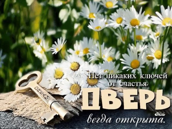 Счастья нам всегда