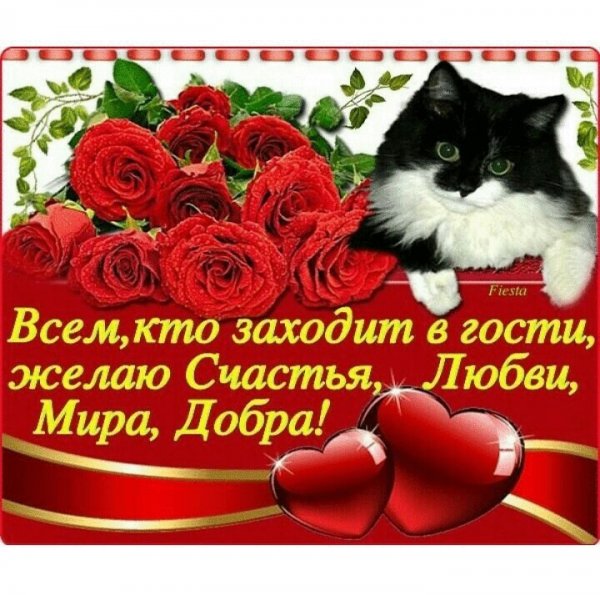 Спасибо что зашли в гости