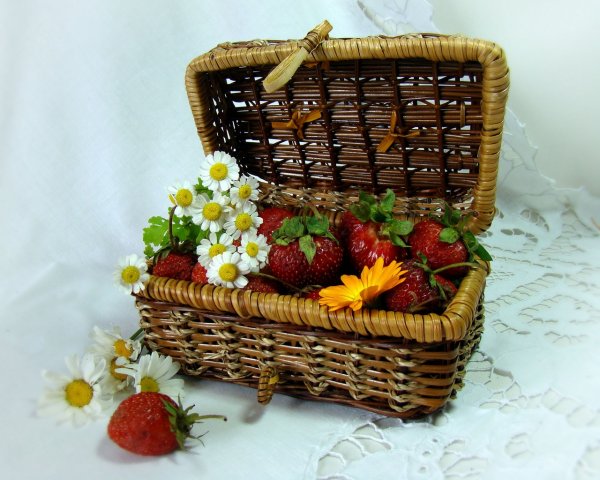 Лукошко счастья