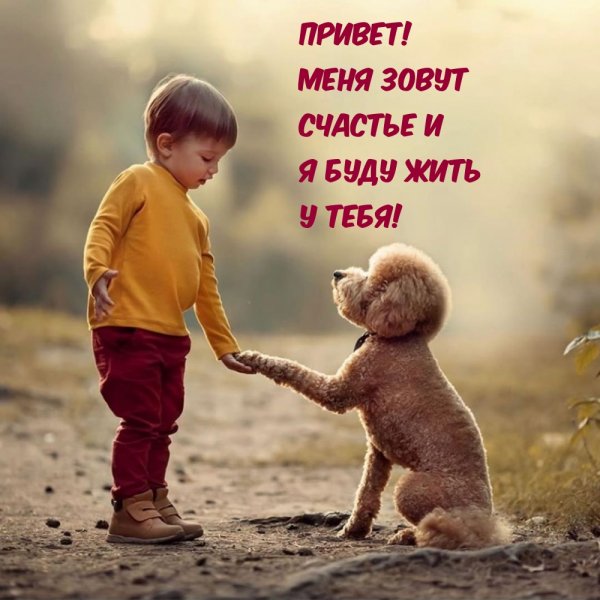 Привет меня зовут счастье и я буду жить у тебя