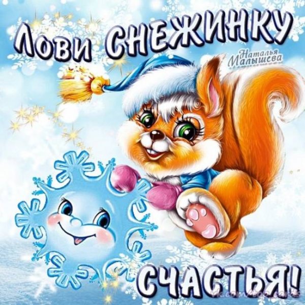 Рыжий кот открытка