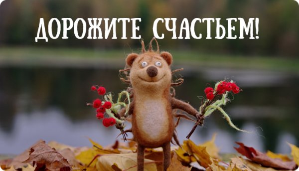 Дорожите счастьем дорожите