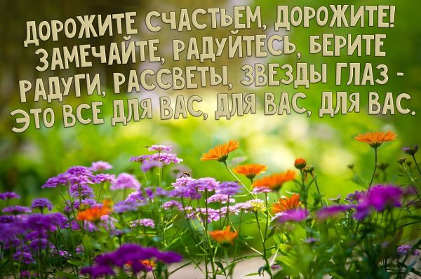 Дорожите счастьем дорожите