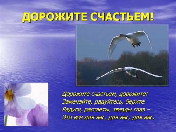 Дорожите счастьем дорожите