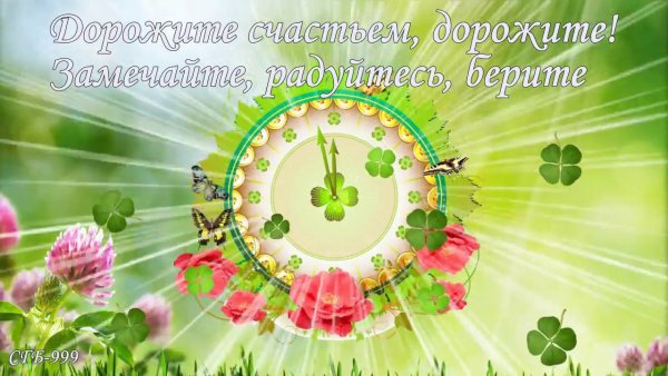 Дорожите счастьем дорожите картинки