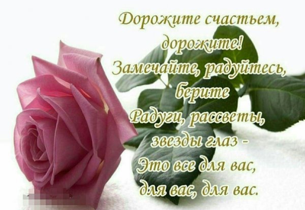Стих дорожите счастьем дорожите
