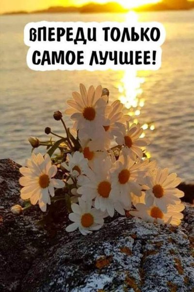 Цветы на фоне моря