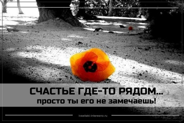 Счастье где то рядом