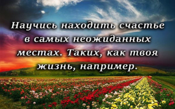 Найти счастье в жизни