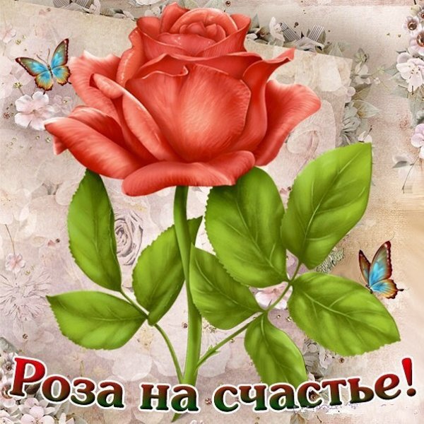 Что такое счастье... (Роз.)