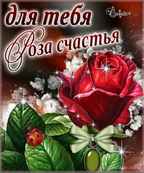 Розы с пожеланиями счастья