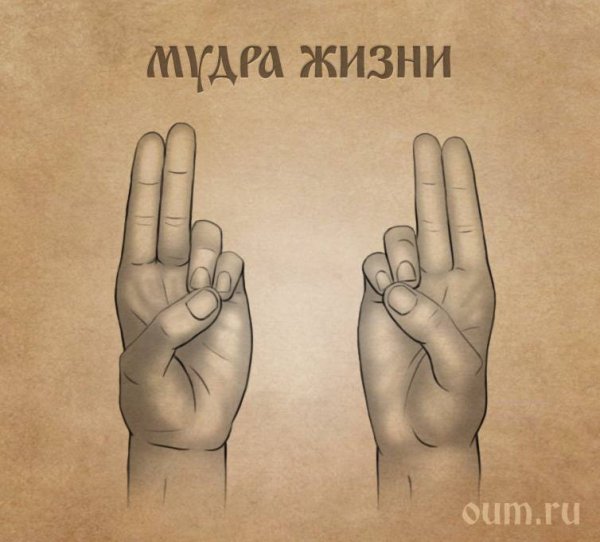 Мудры йога для пальцев