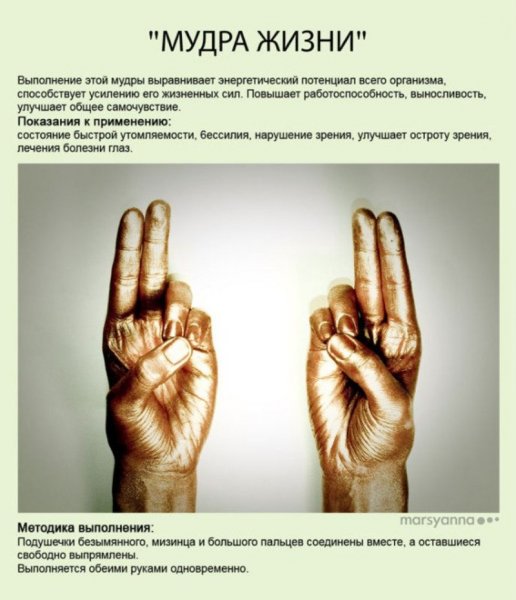 Йога для пальцев рук исцеляющие мудры