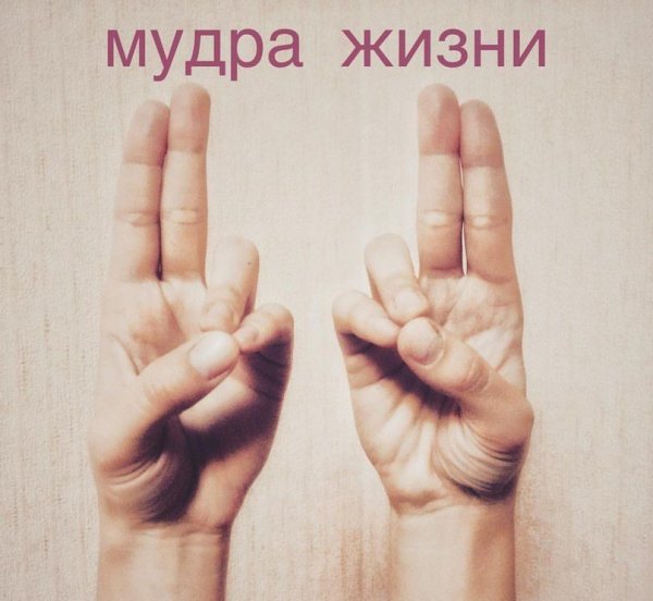 Мудра праны (жизни)