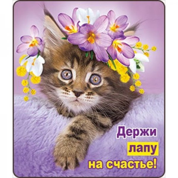 Счастье это