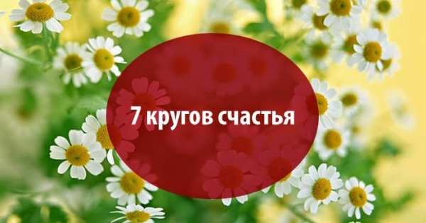 Семь кругов счастья