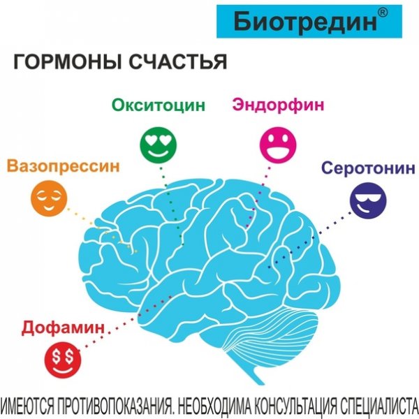 Гормоны дофамин серотонин Эндорфин окситоцин