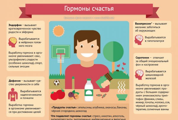 Гормоны счастья инфографика