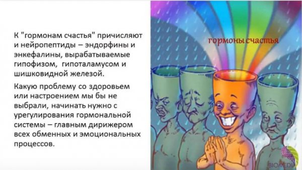 Эндорфин гормон радости