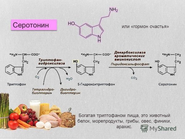Серотонин гормон счастья